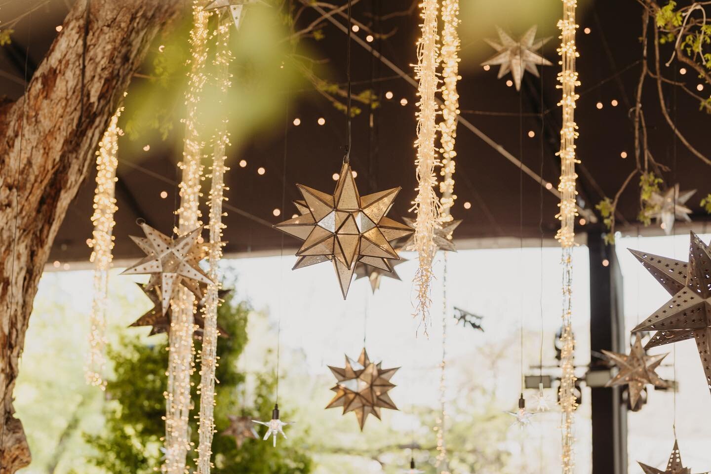 Even the stars are falling for you 💫✨ 
.
.
WP @chdelahuerta 
#estrellasdelaton #fallingstars #wedding #flowersofinstagram #weddingsofinstagram #chinaylisa #bodasmexico #bodasmonterrey #weddingstyling #naturelovers #centerpieces #orchids #espejoantic