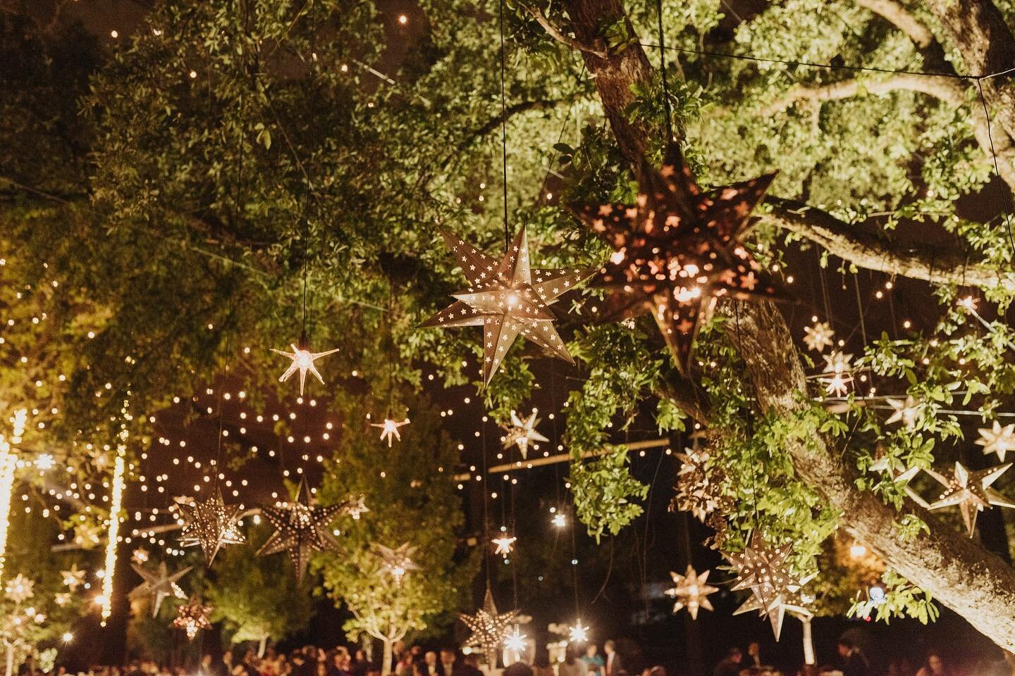 Even the stars are falling for you 💫✨ 
.
.
WP @chdelahuerta 
#estrellasdelaton #fallingstars #wedding #flowersofinstagram #weddingsofinstagram #chinaylisa #bodasmexico #bodasmonterrey #weddingstyling #naturelovers #centerpieces #orchids #espejoantic