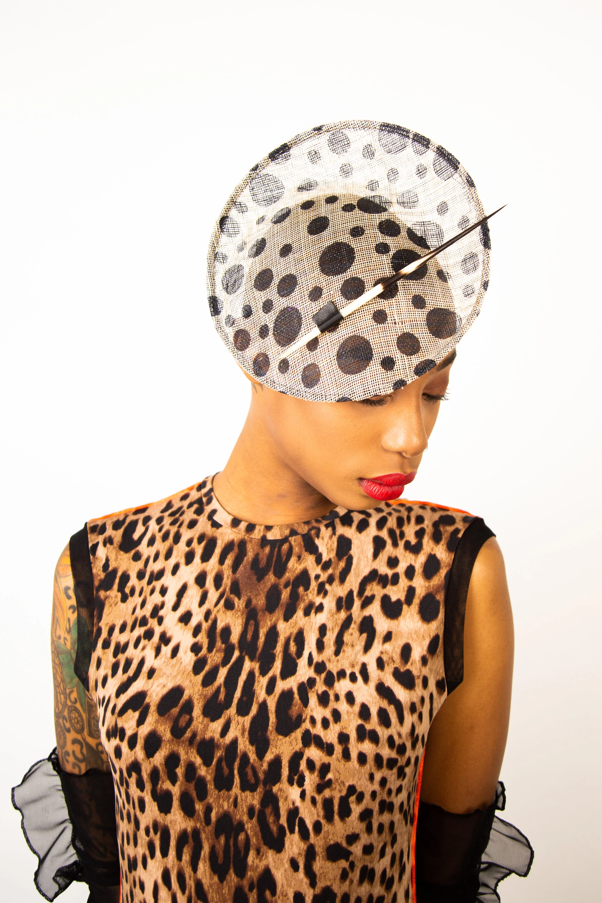 Polka dot profile close.jpg