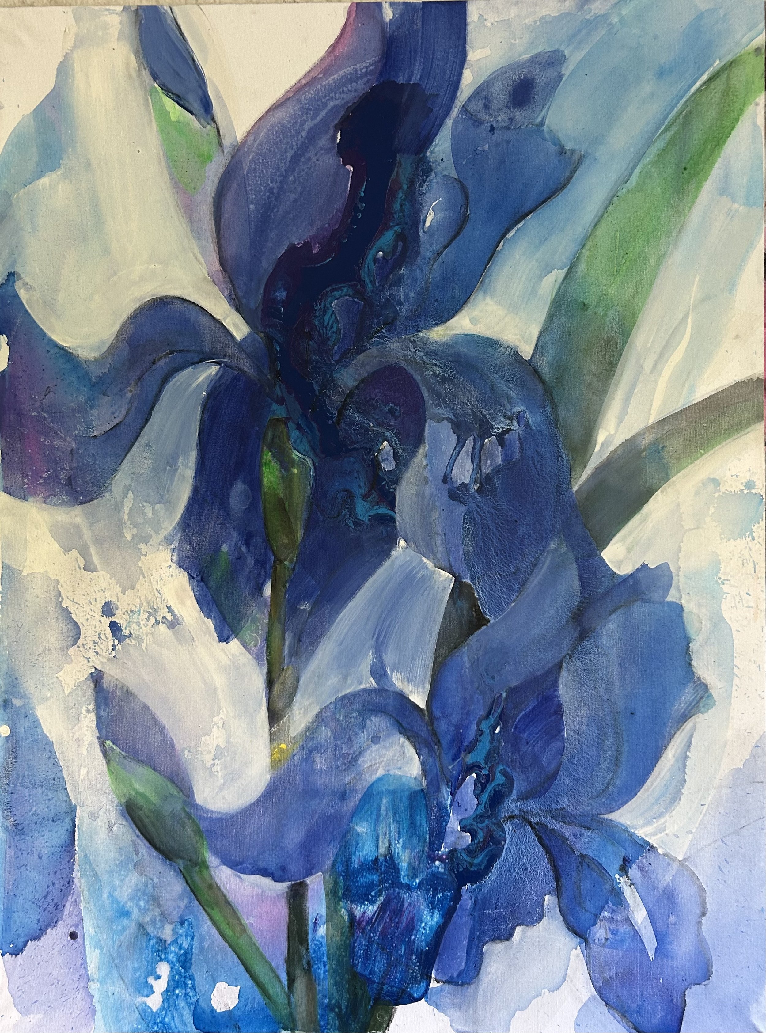 Irises (48 x 36 in / 122 cm x 91 cm)