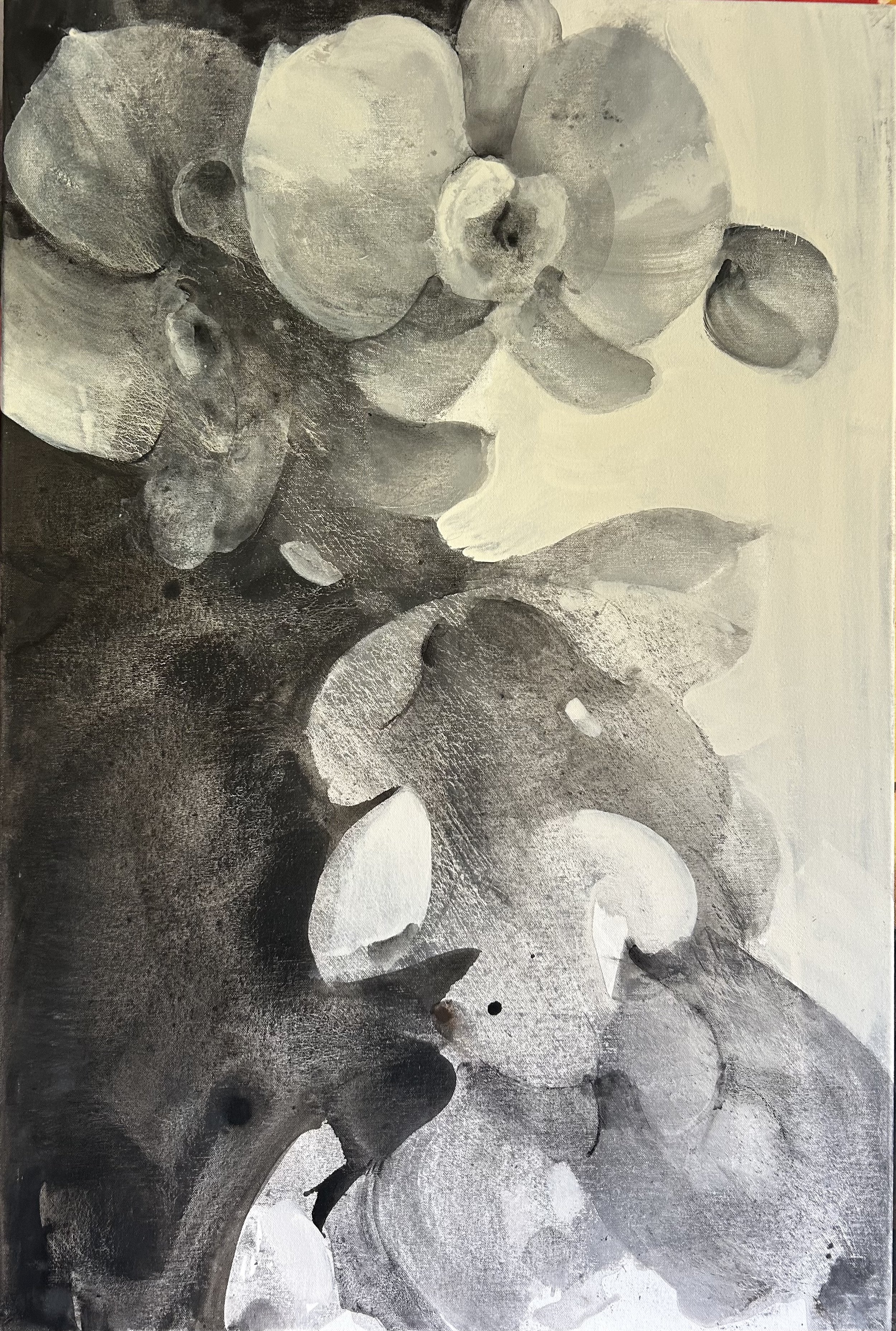 Orchid 1 (36 x 24 in / 91 x 61 cm)