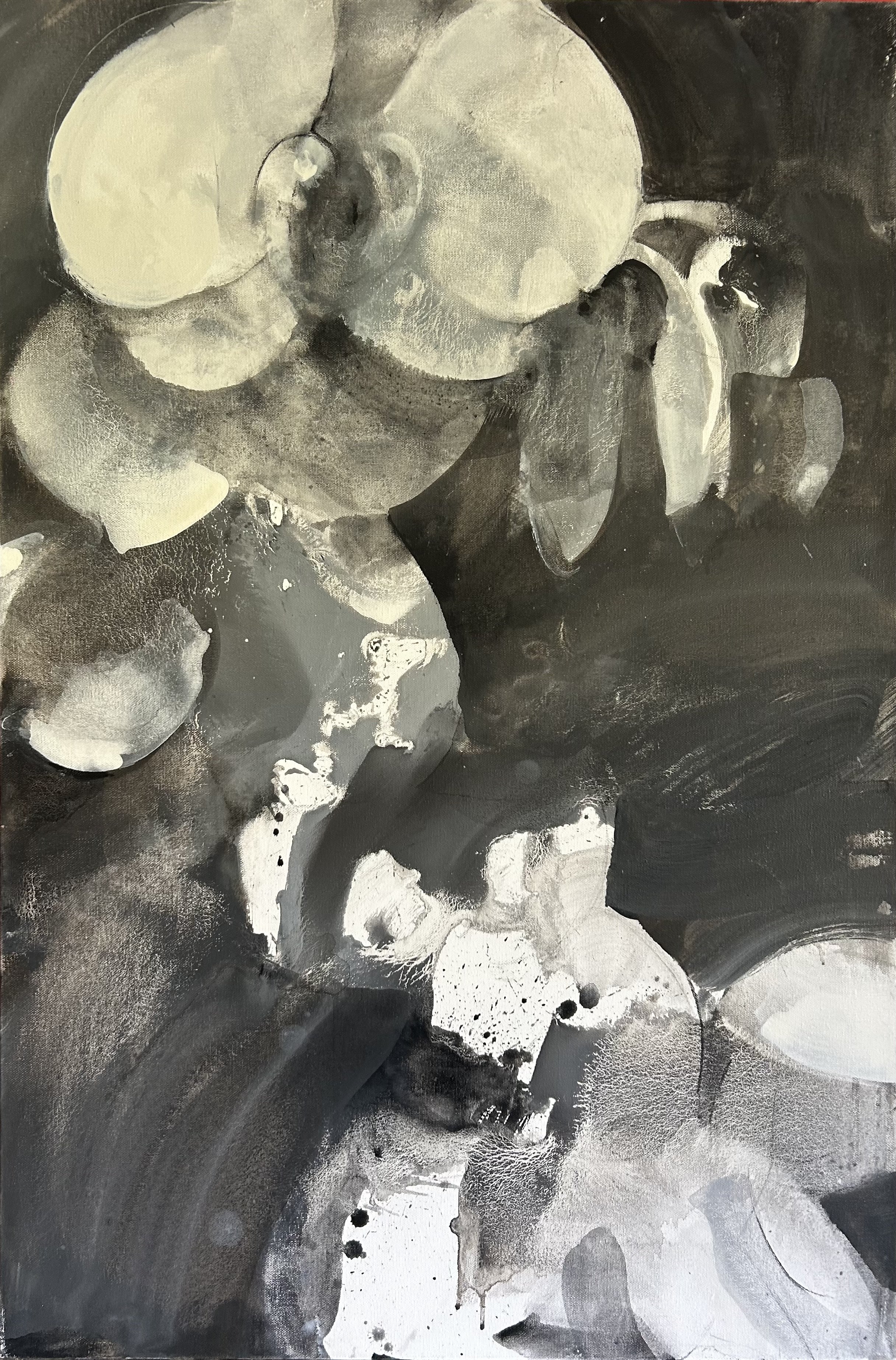 Orchid 2 (36 x 24 in / 91 x 61 cm)