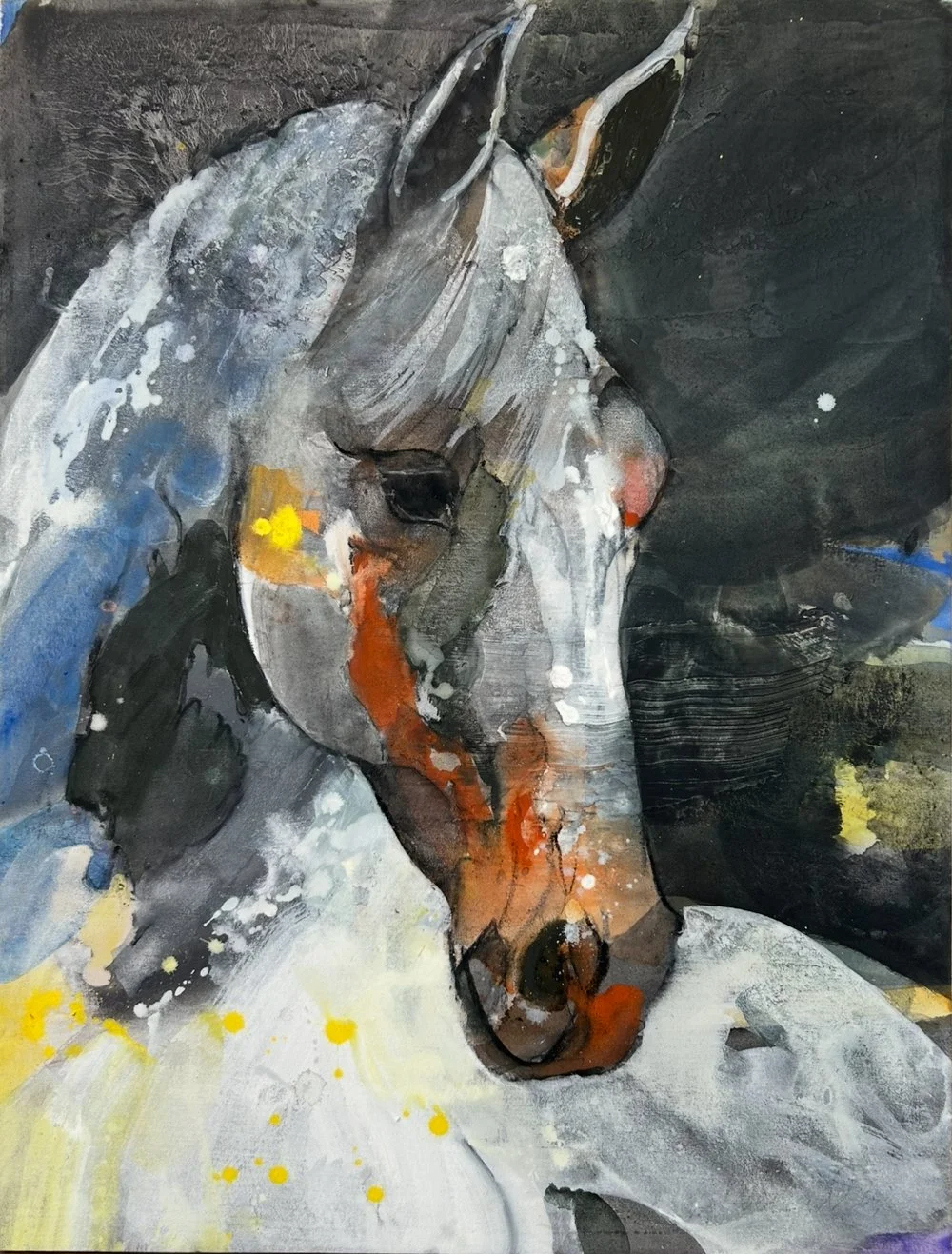 Pinto (40 x 30 in, 102 x 76 cm)