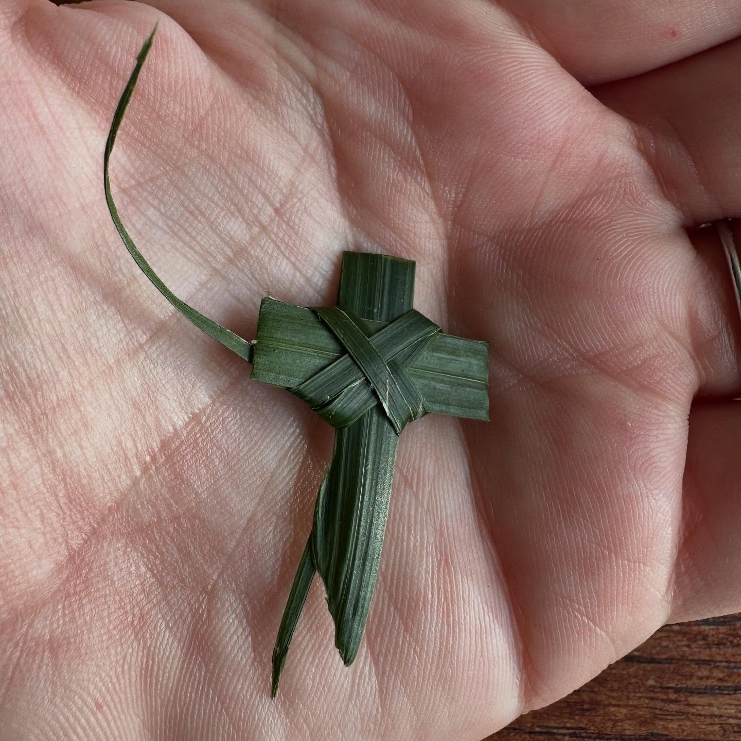 #palmsunday
