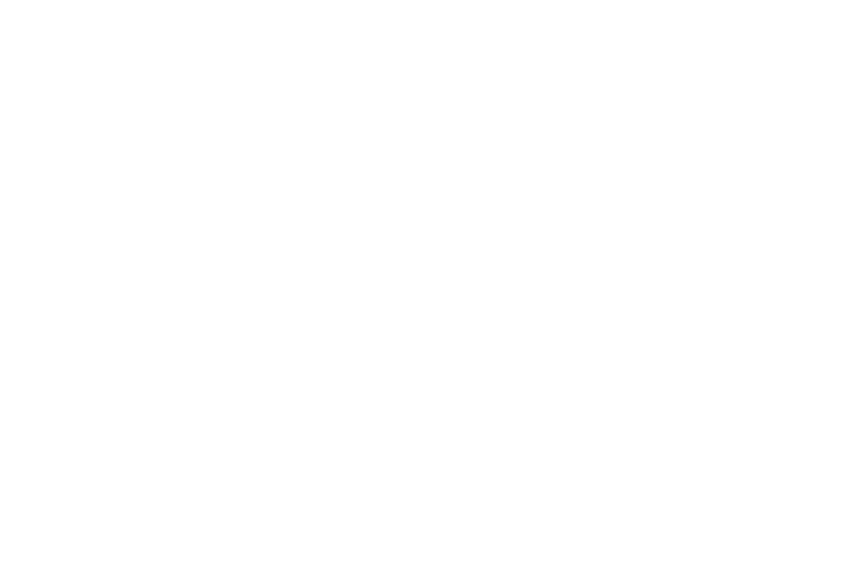 OFFICIAL SELECTION -               HCX                Haiti Film Fest - 2017-1.png