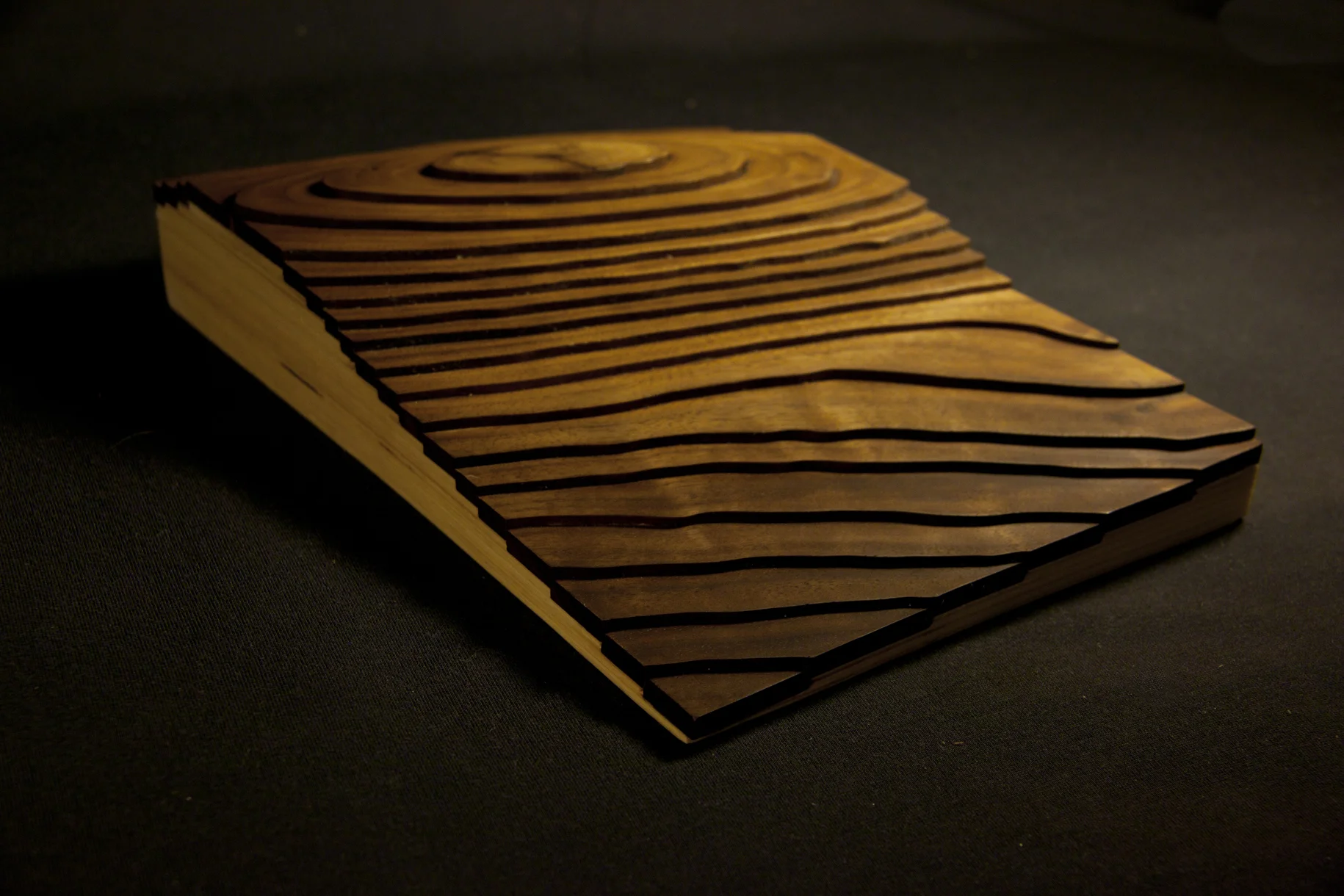 8) woodgraintopo_JuliaTorres.jpg
