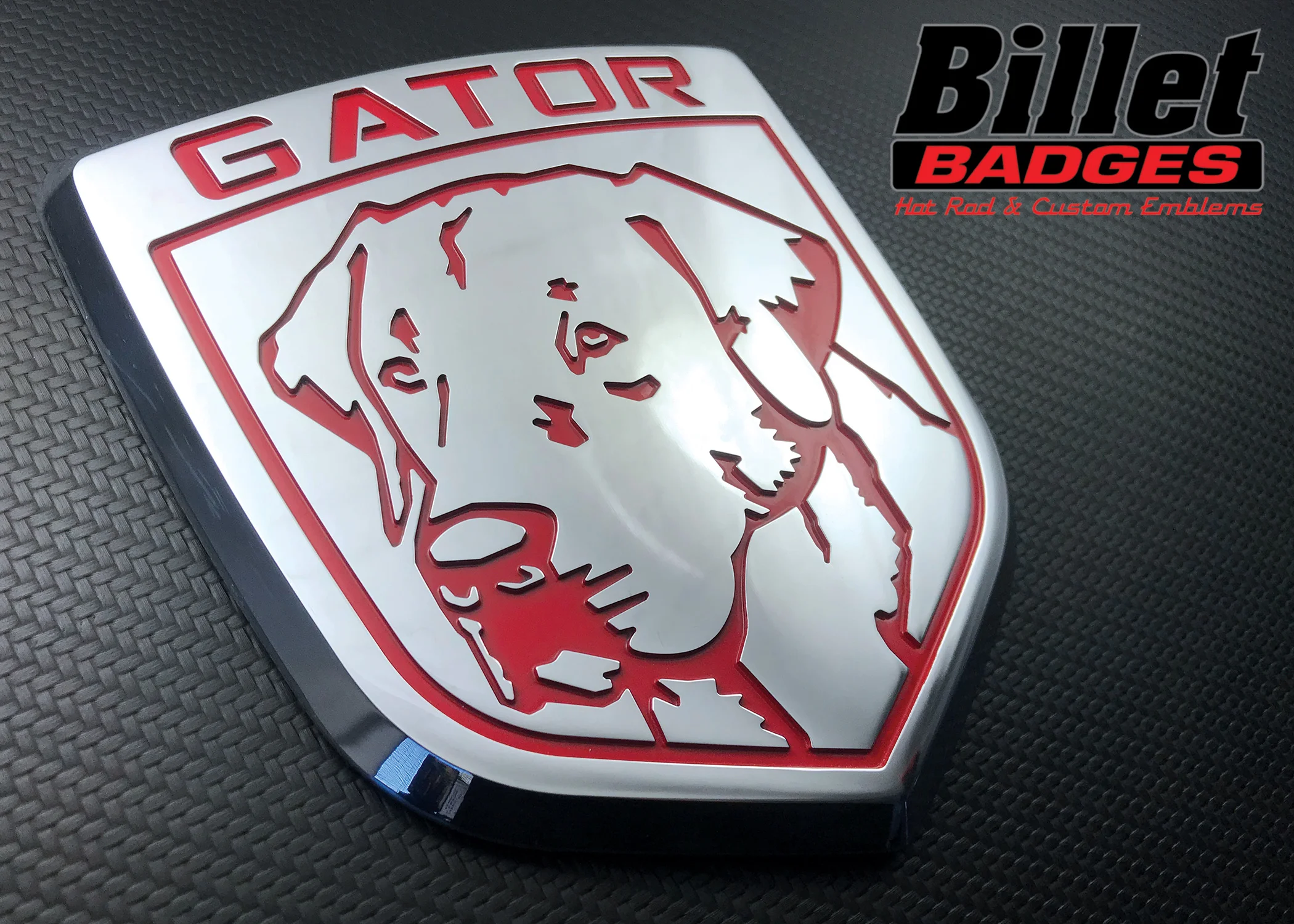 Gator