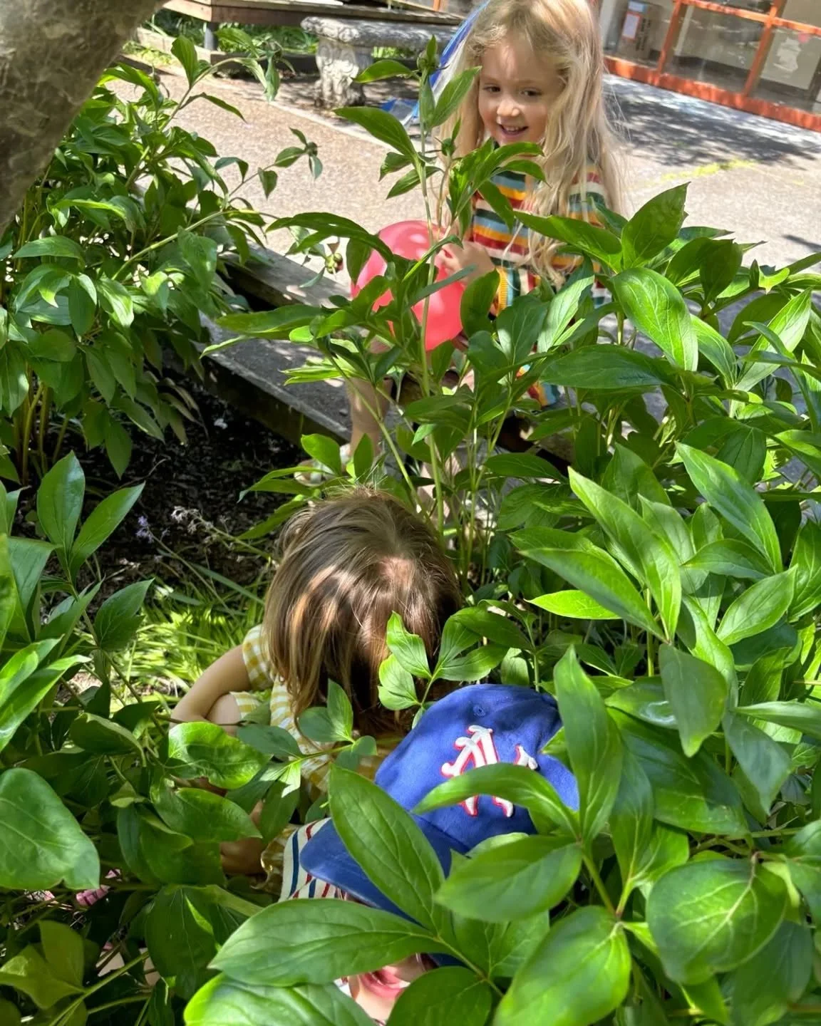 Portland kids, most comfortable in nature. Loving, seeking, embracing, thriving. 🌱🌲🏞️🌳🏵️🌼🐿️🌦️🌻 🌈🍓🪻