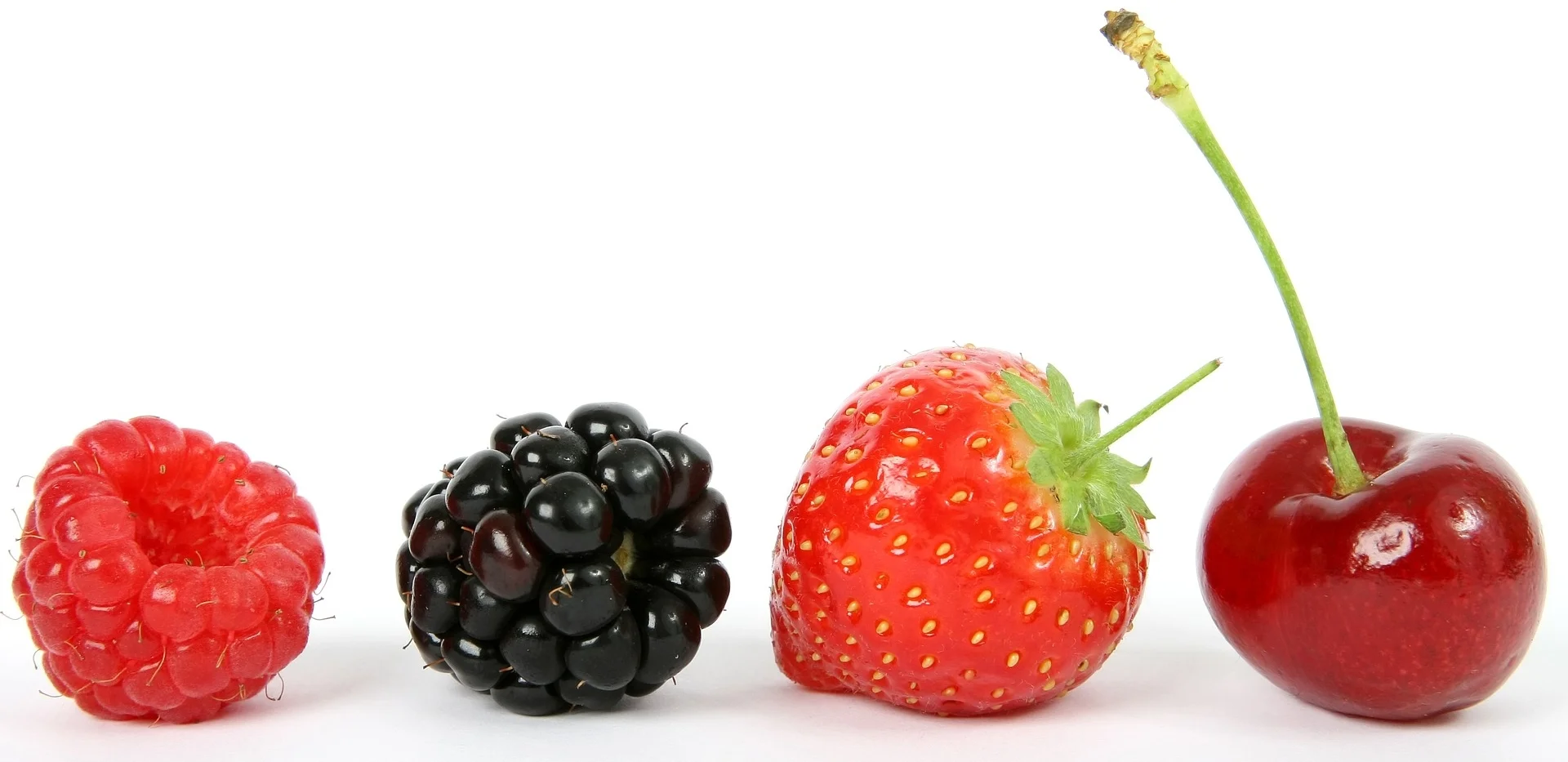 fresh fruit.jpg