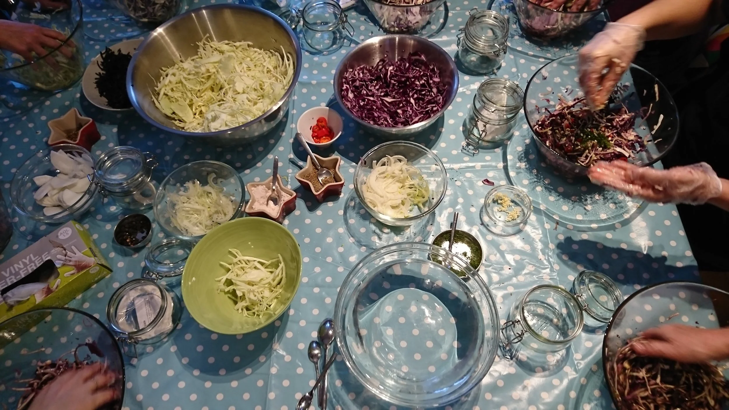 Fermentation 1.jpg