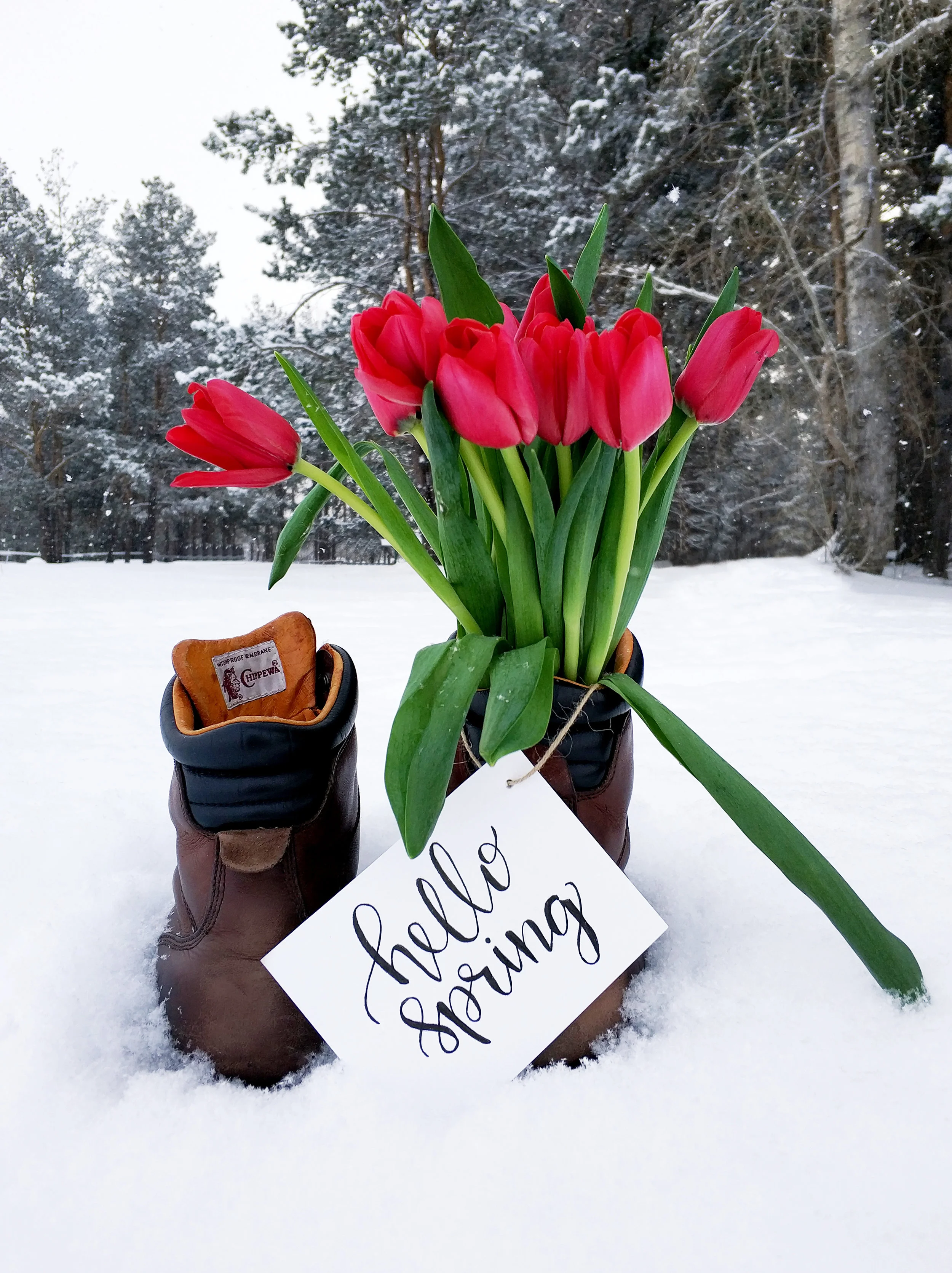 hello spring.jpeg