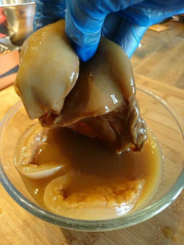 scoby.jpg