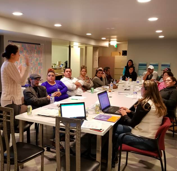 Focus Groups, Stakeholder Interviews and Content Review