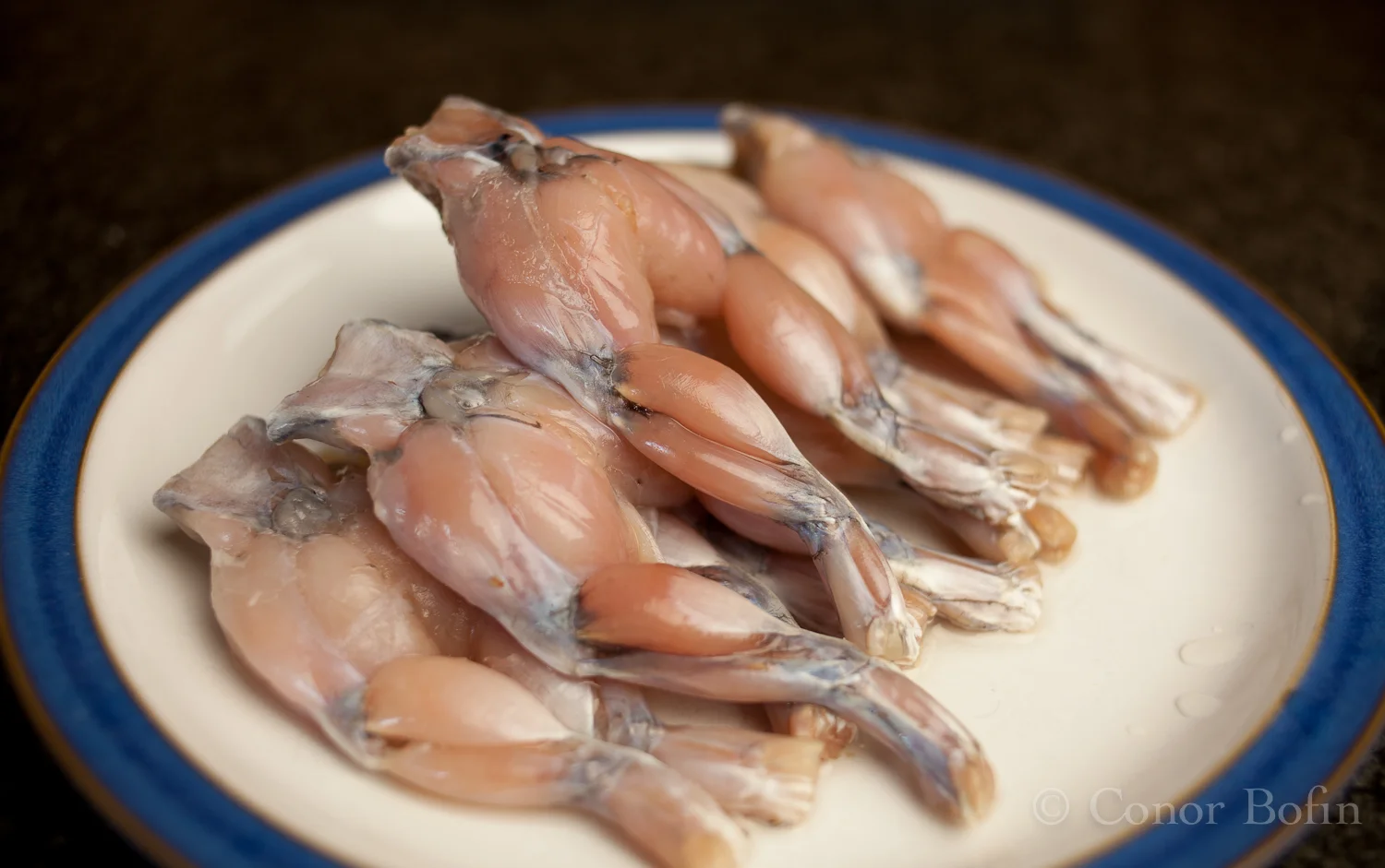 Frog Legs.jpg