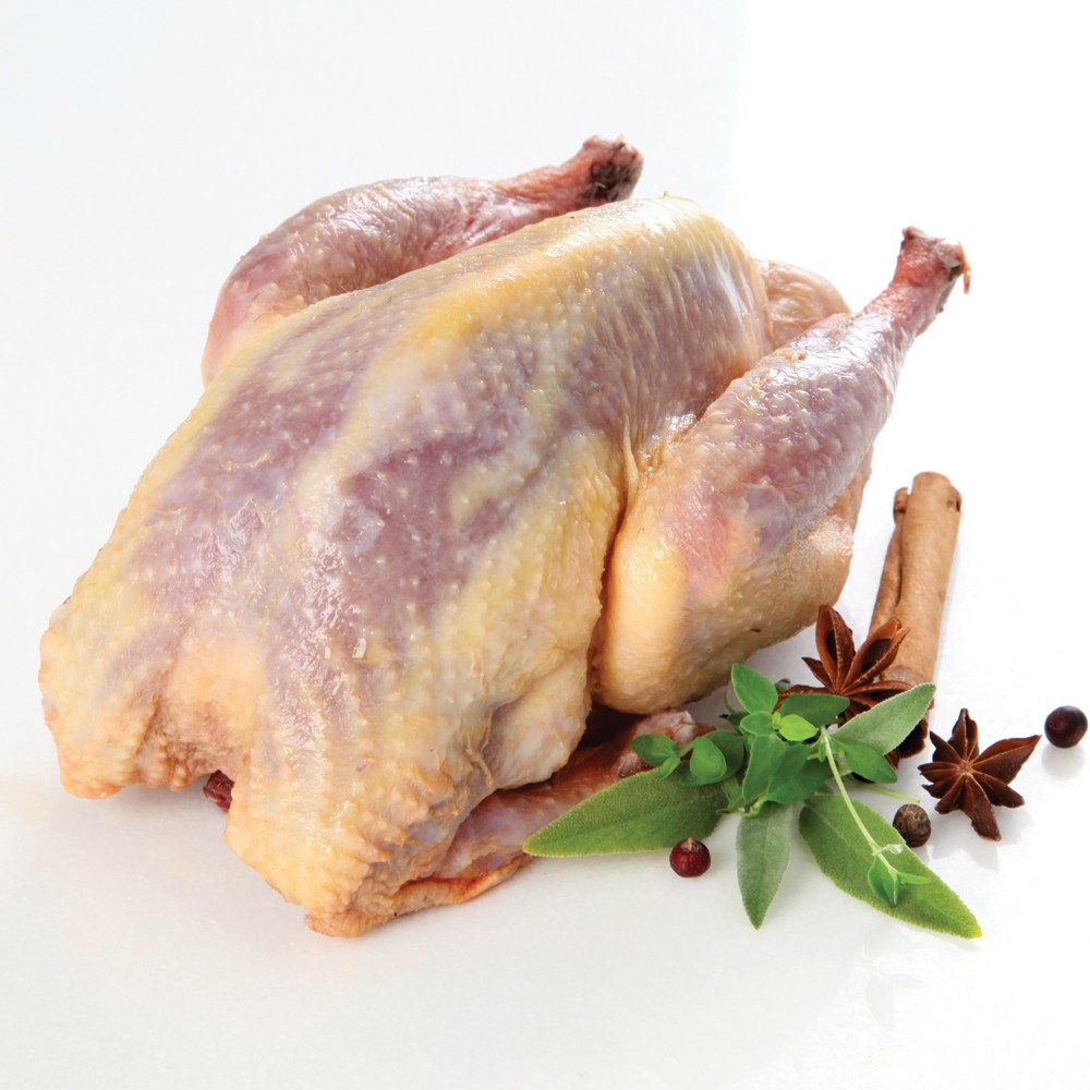 Free Range Turkeys