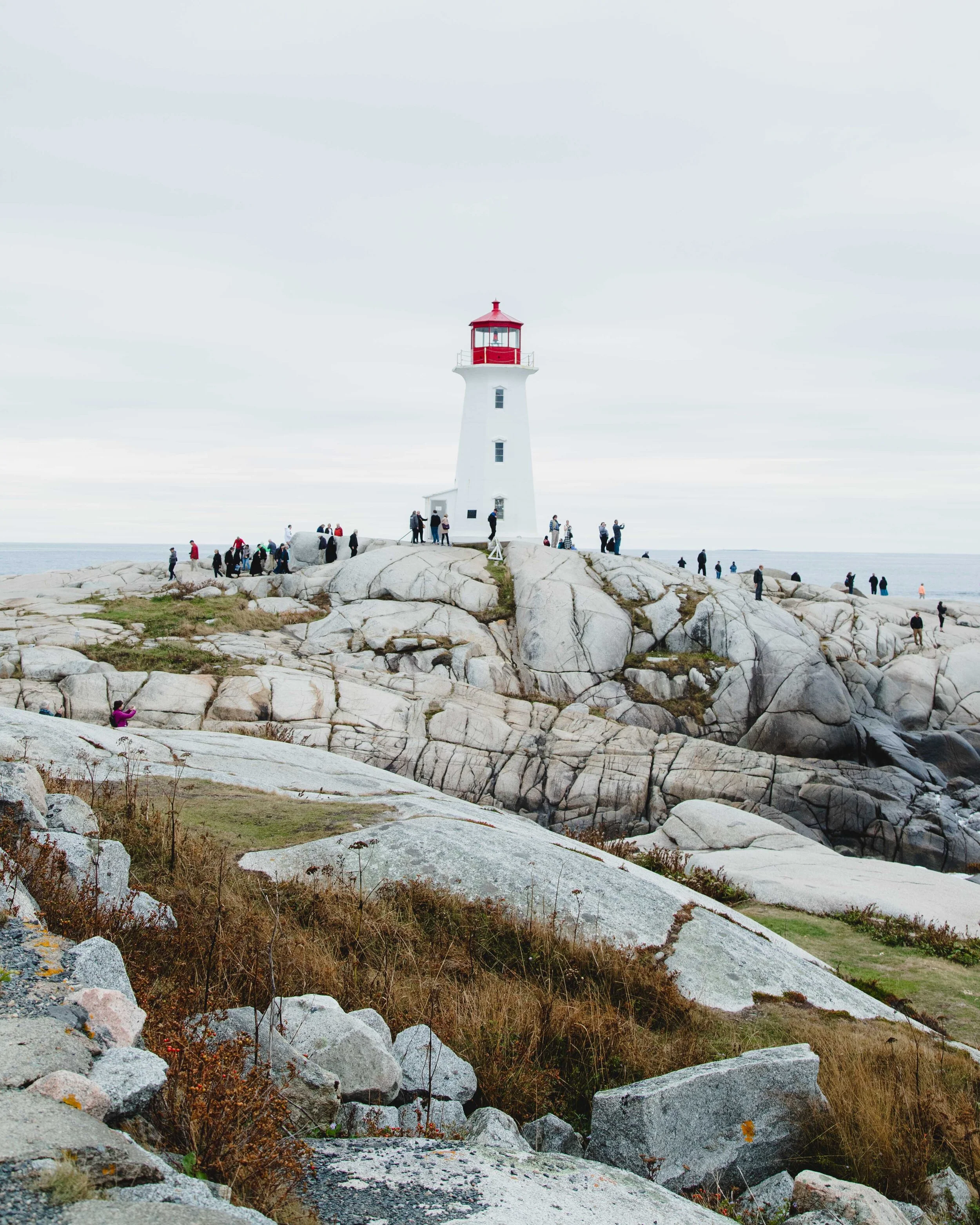 IMG_6929.jpg