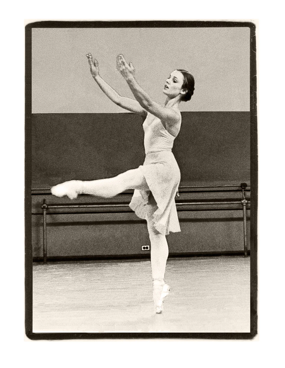 Bronwyn Thomas
