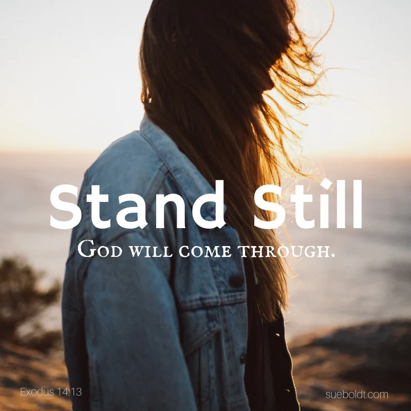 Stand still.jpg