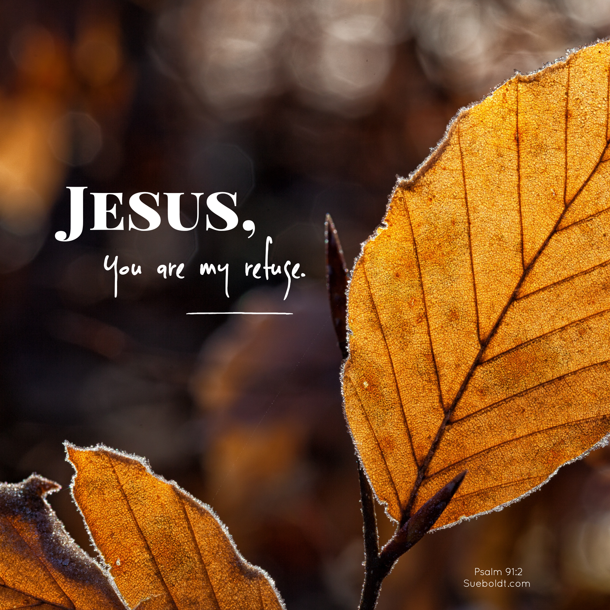 psalm 91.2.png
