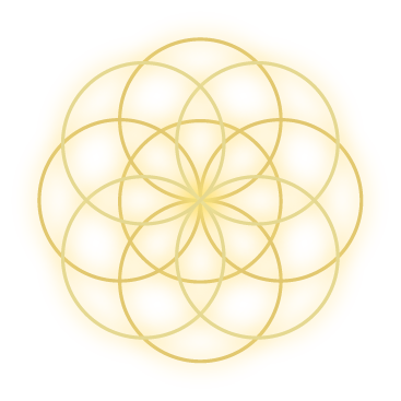 TTH_Brand_Icon 2.2.png