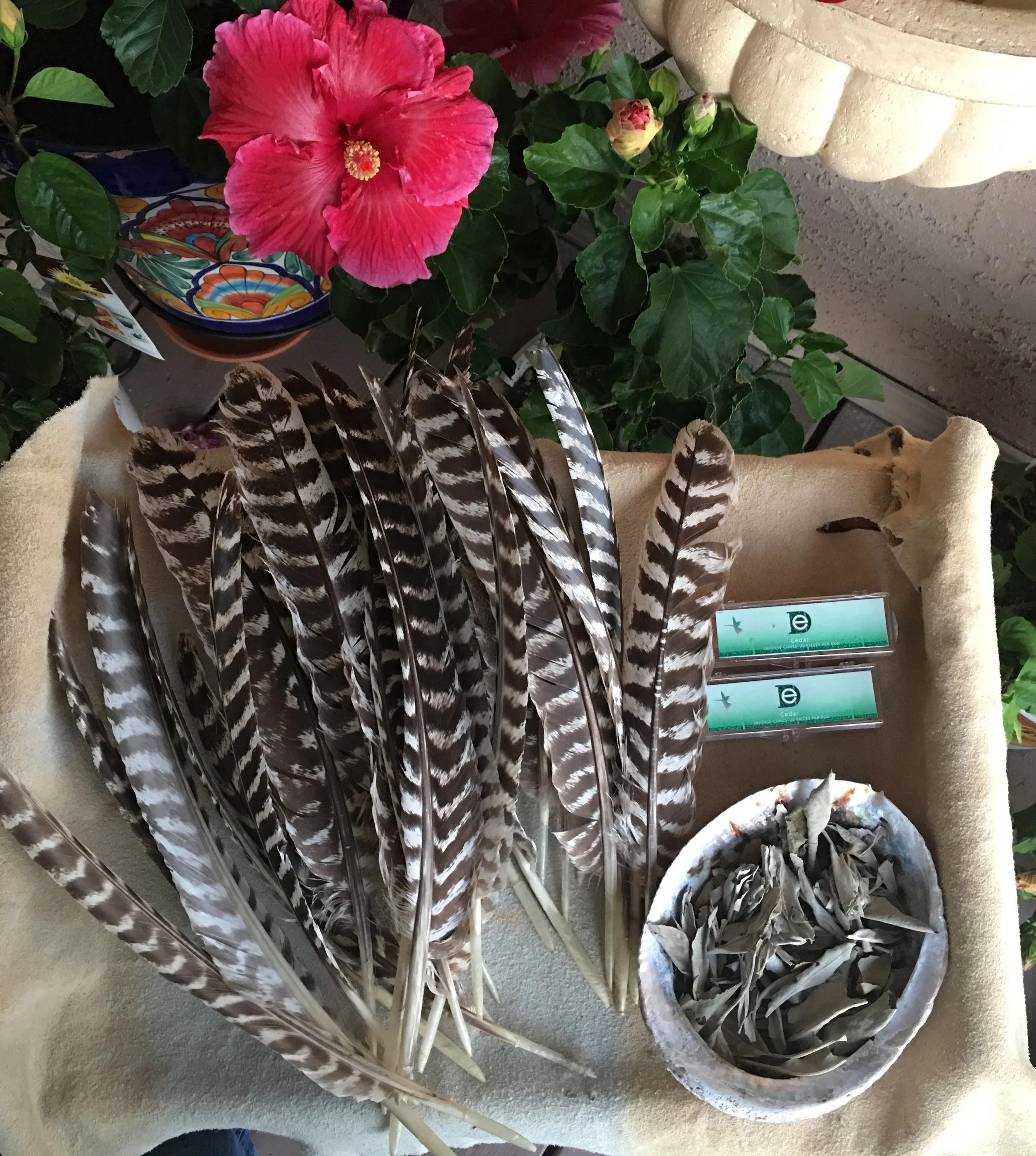 Healer Training Level 2 - ONLINE