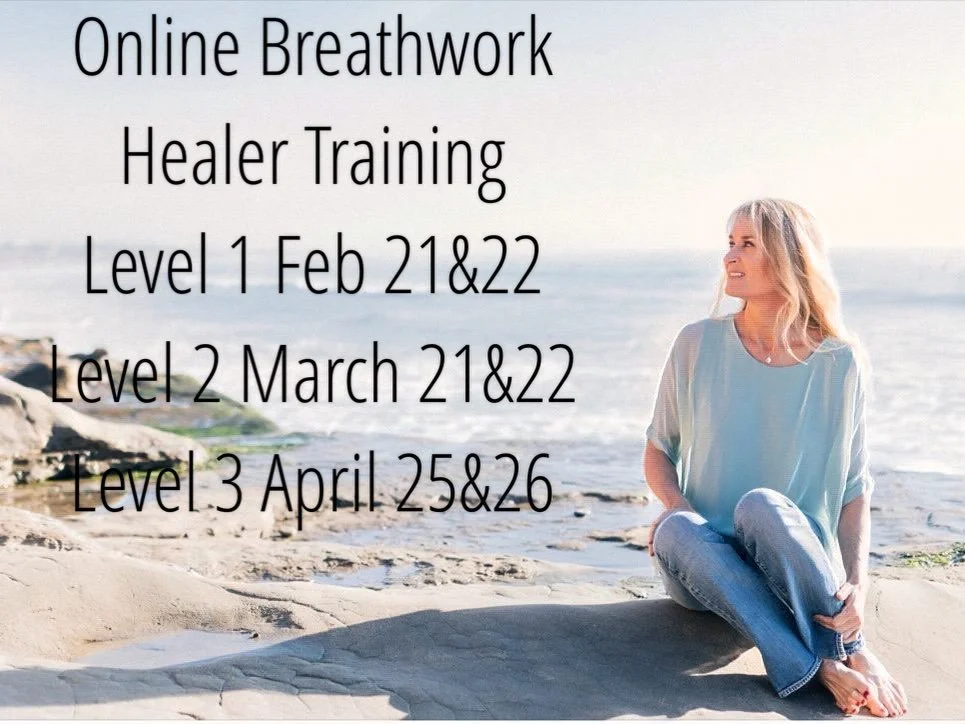 ✨ ONLINE HEALER TRAINING with Danielle ✨ based on the work of David Elliott
A 3-Level journey into breathwork, healing, and embodied leadership

9:00am &ndash; 5:00pm Pacific Time
Live Online
$675 per level  ____________
🌿 LEVEL 1 | Feb 21 &amp; 22
