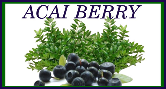 Eat Drink or make jewelry with this berry