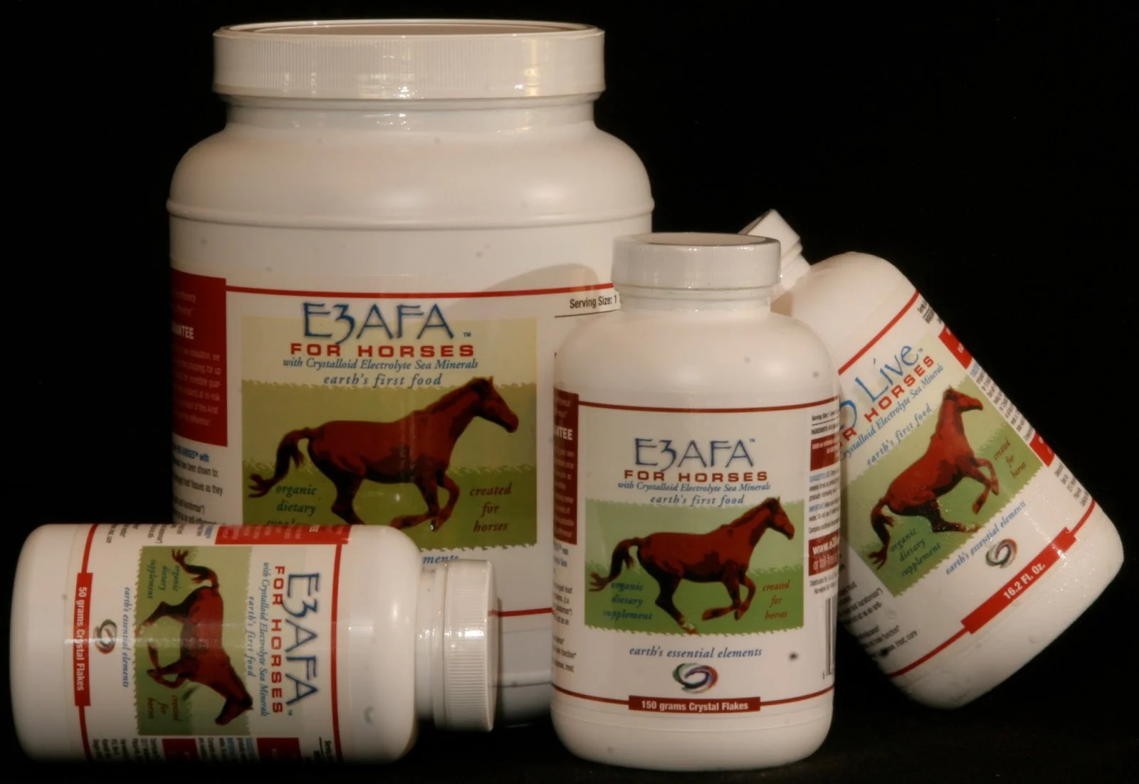 The Perfect Horse with 3eLive.JPG
