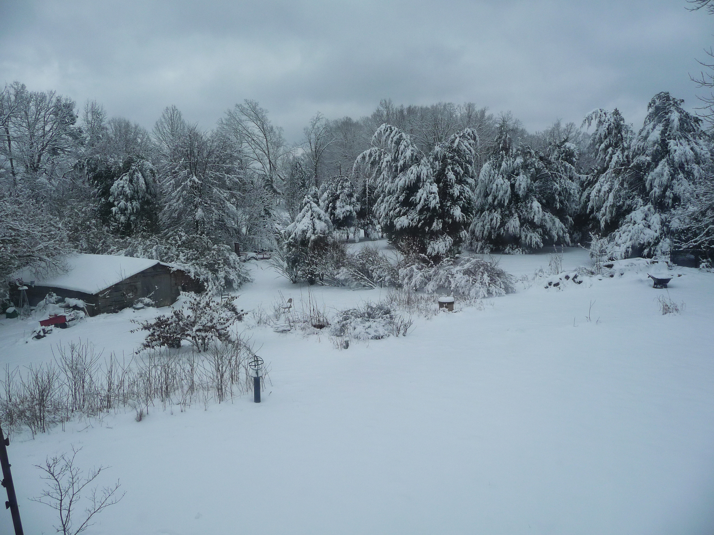 front yard snow 2015.jpg