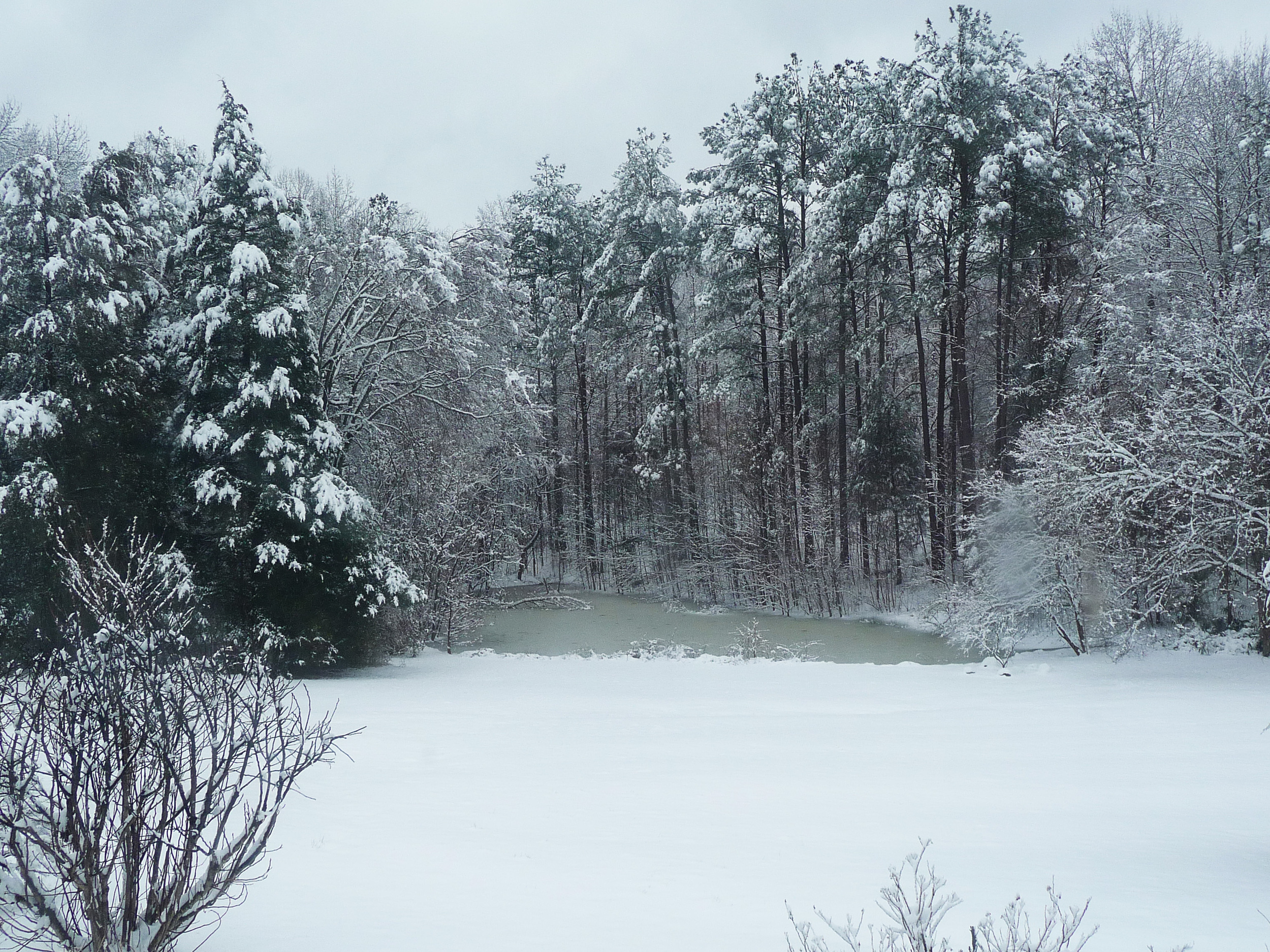 pond in snow 2015.jpg