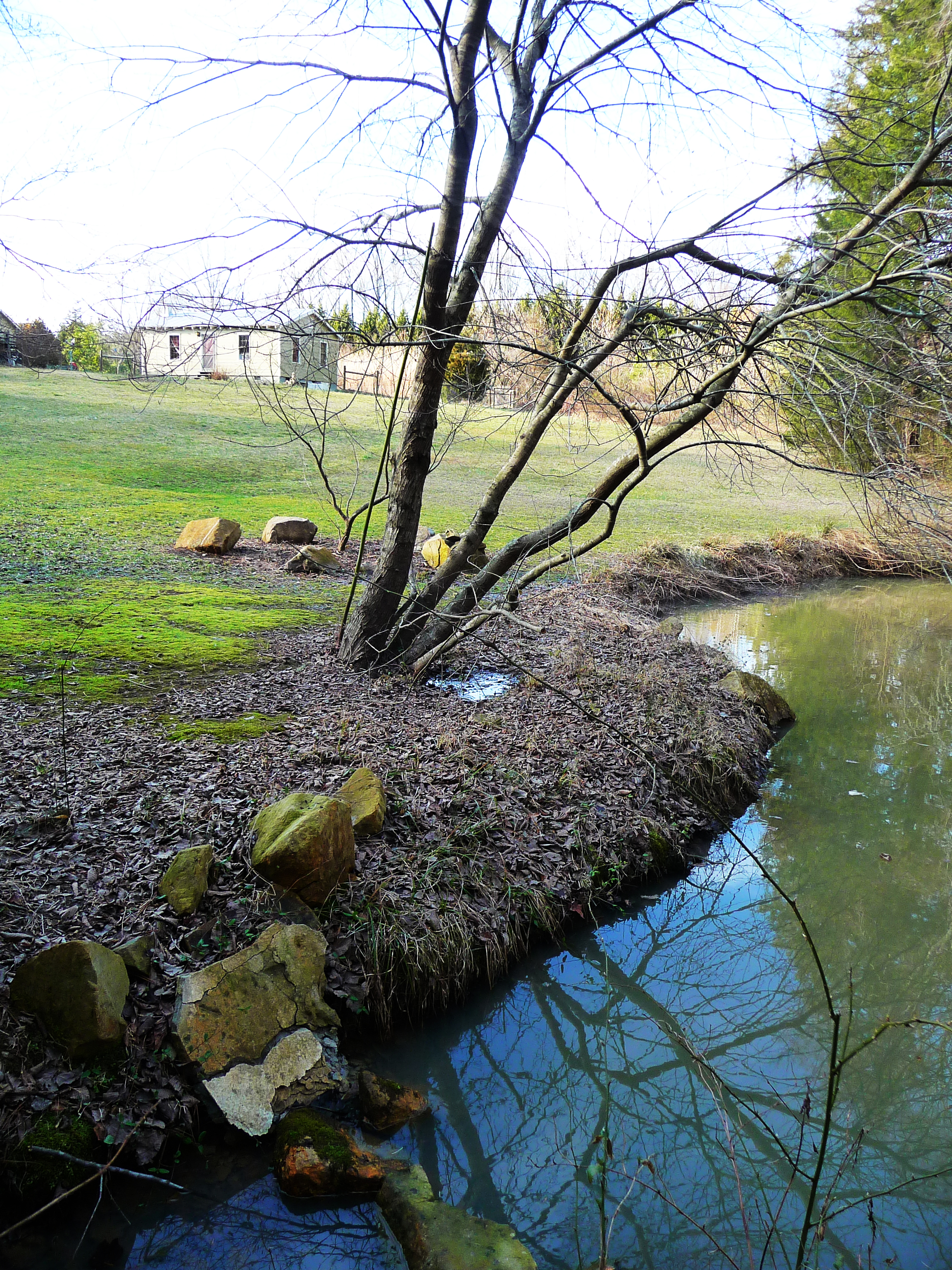 studio from the pond.jpg