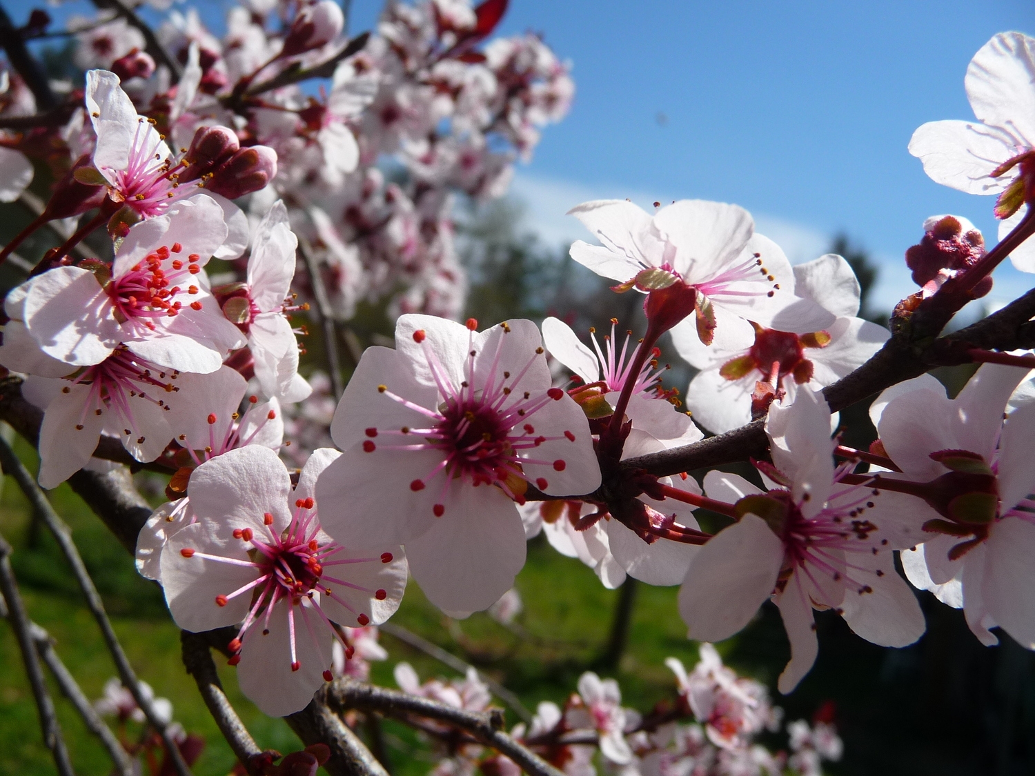 Spring! Finally!