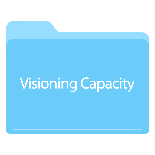 Visioning Capacity.png