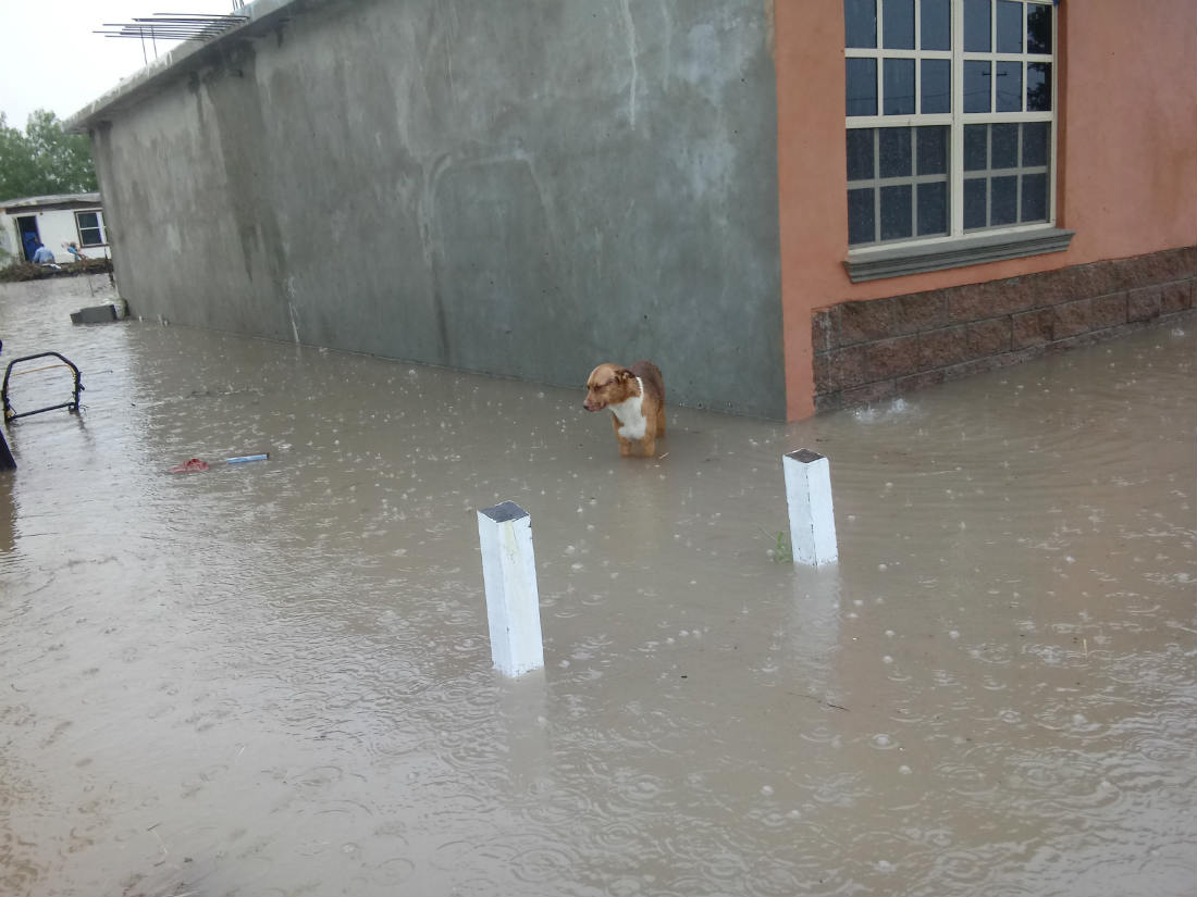 Valley Flooding 1.jpg