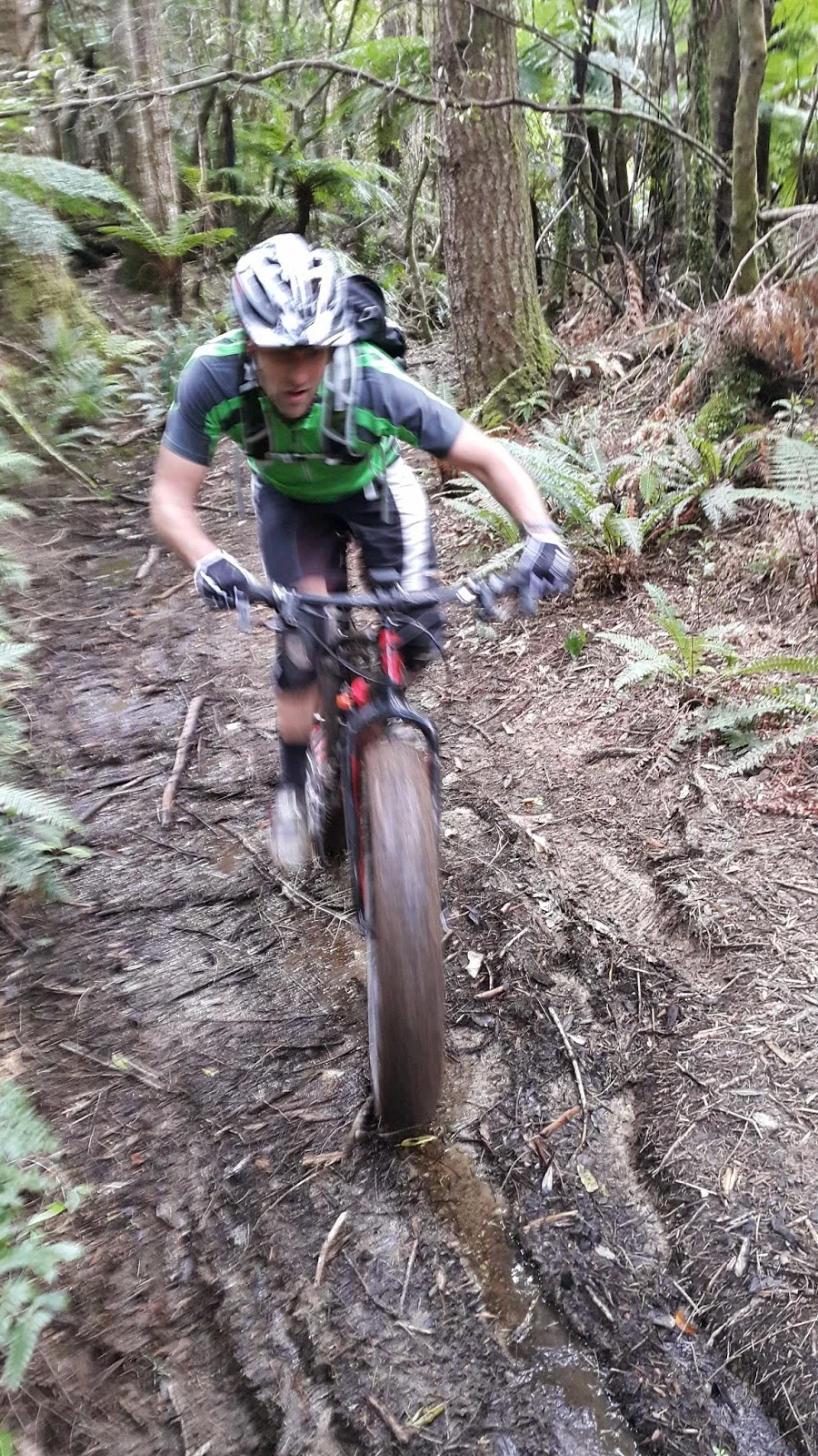 Fat Mountain Bike - bush.jpg