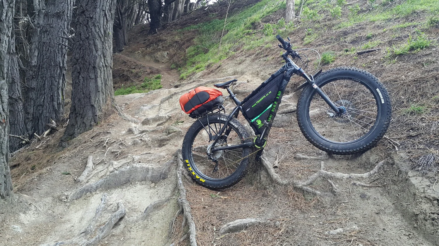 Mt Vic enduro trail. Every thing still there.