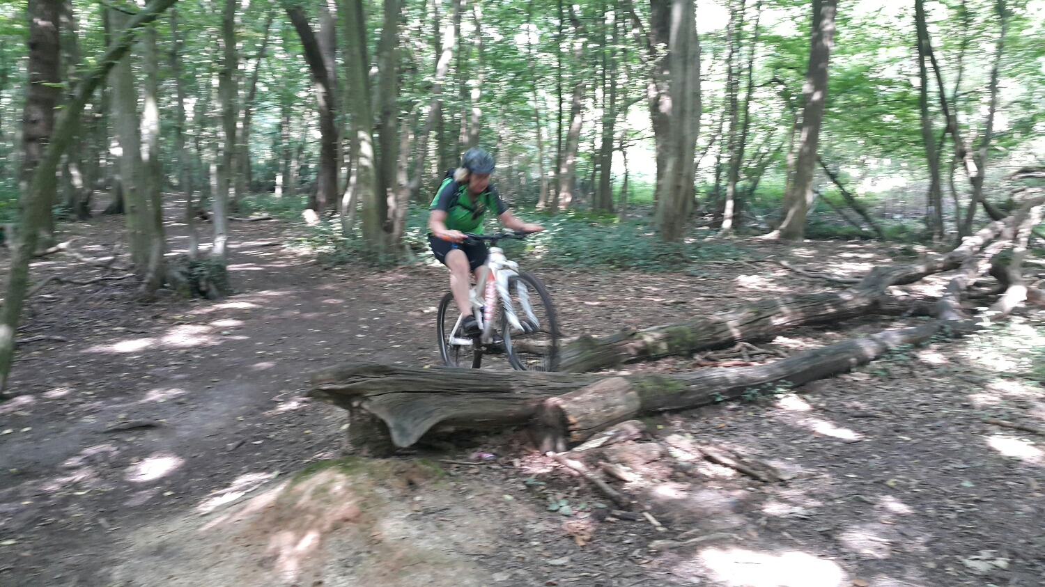 Chris tackling some of the downed trees that litter the woods