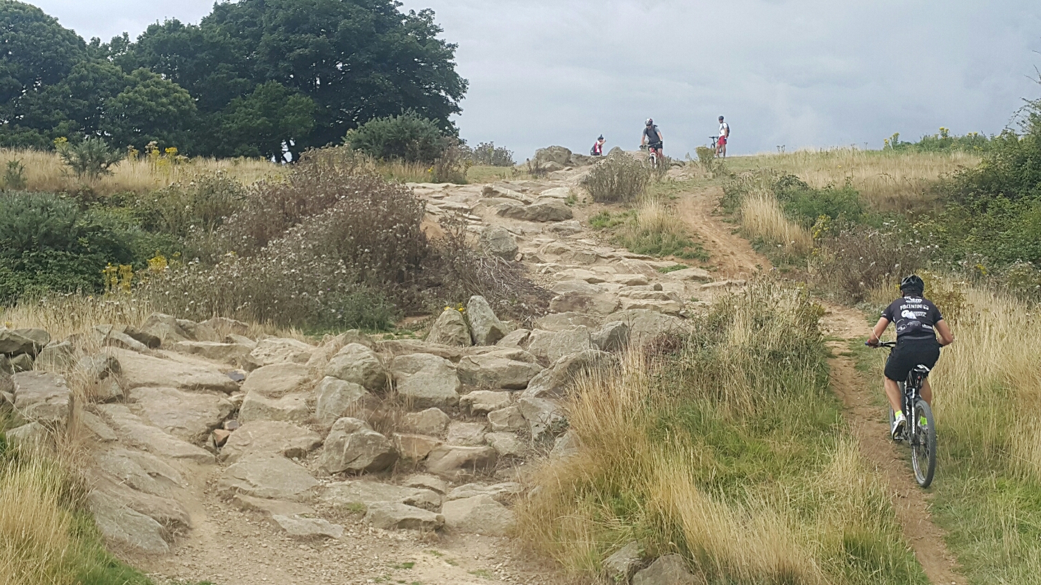 This is the rock garden. One of the man made sections.