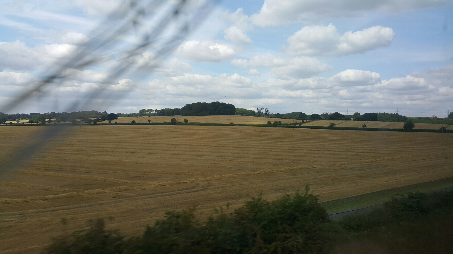 Miles and miles of wheat 