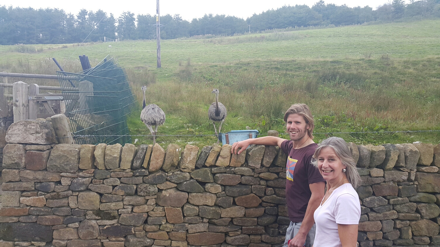 Pete and his mum Paul with some local wildlife. I think these birds are imports!