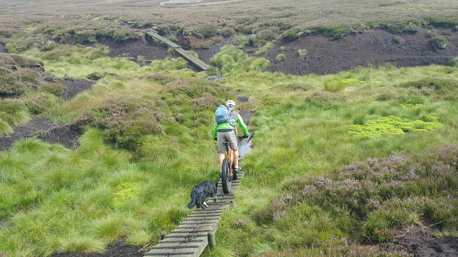 Crossing the tops the very boggy track has duct boards across the worst of it. The fat bikes were mint, the ground very pliant under the wheels.