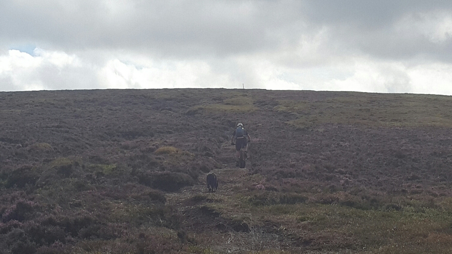 The trail is just a walking track that has worn through the heather exposing the peat. Boggy in places. A nice steady gradient but slow due to the soft ground .