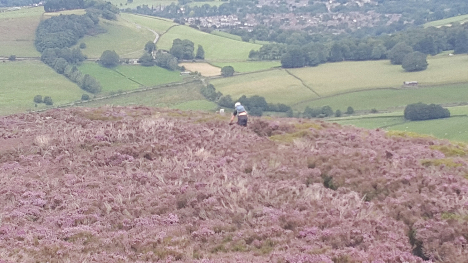 On our way back down. Pete snaking down though the heather.