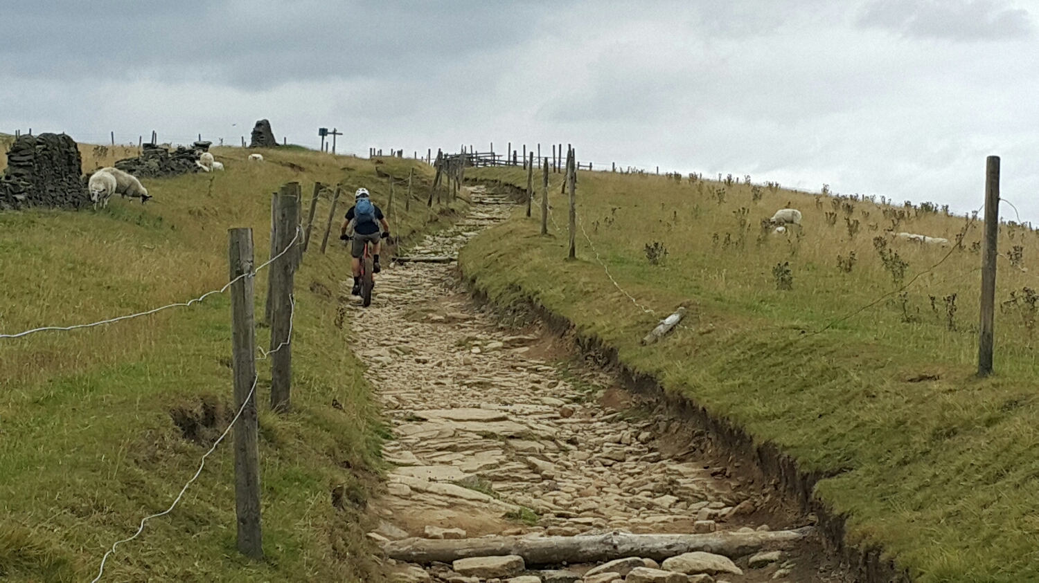 lumpy rocky track. Awesome for the Fat bikes.