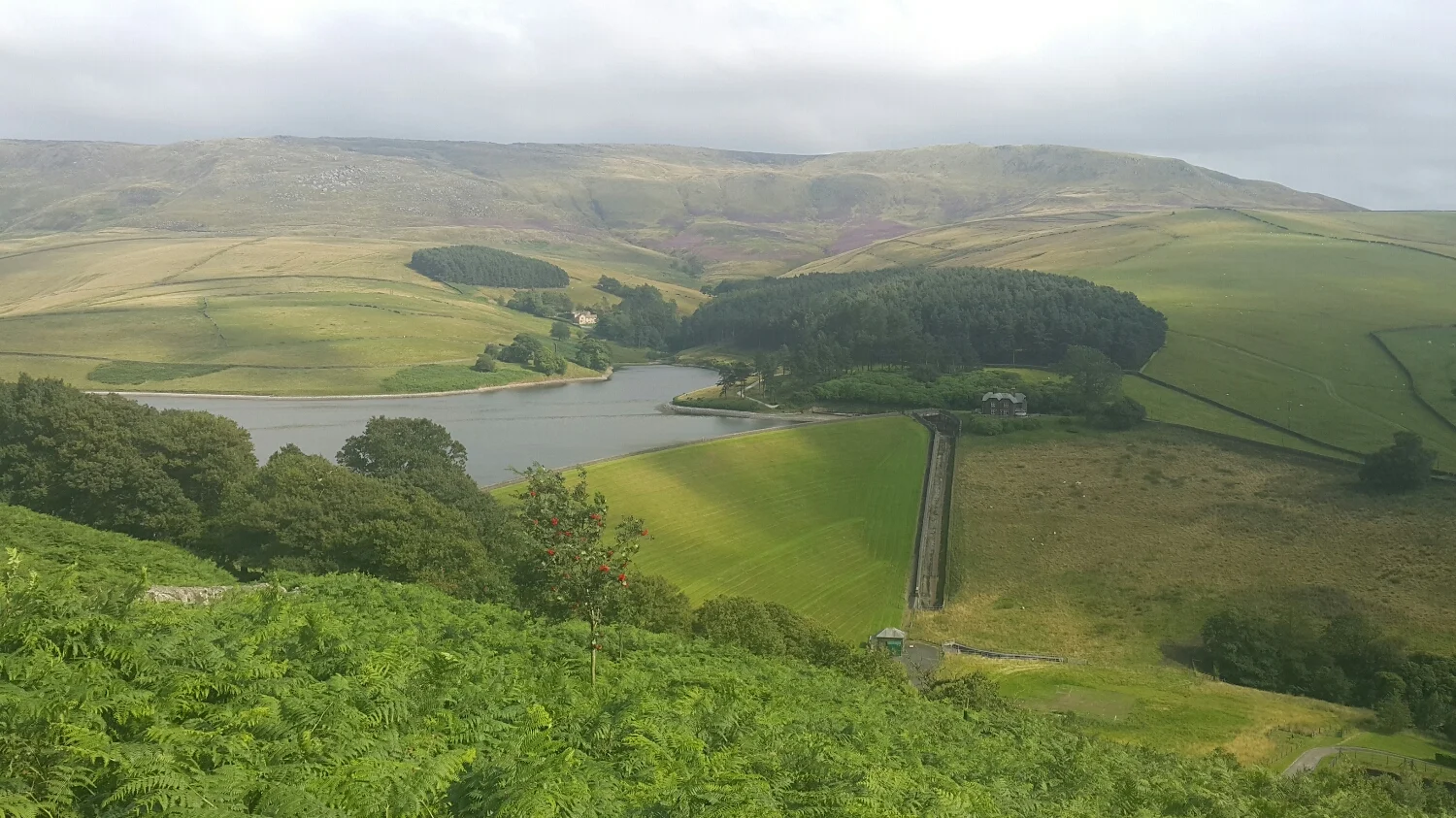 The Peaks is a large water catchment area. This is a local dam. Amazing stone house in the back ground .