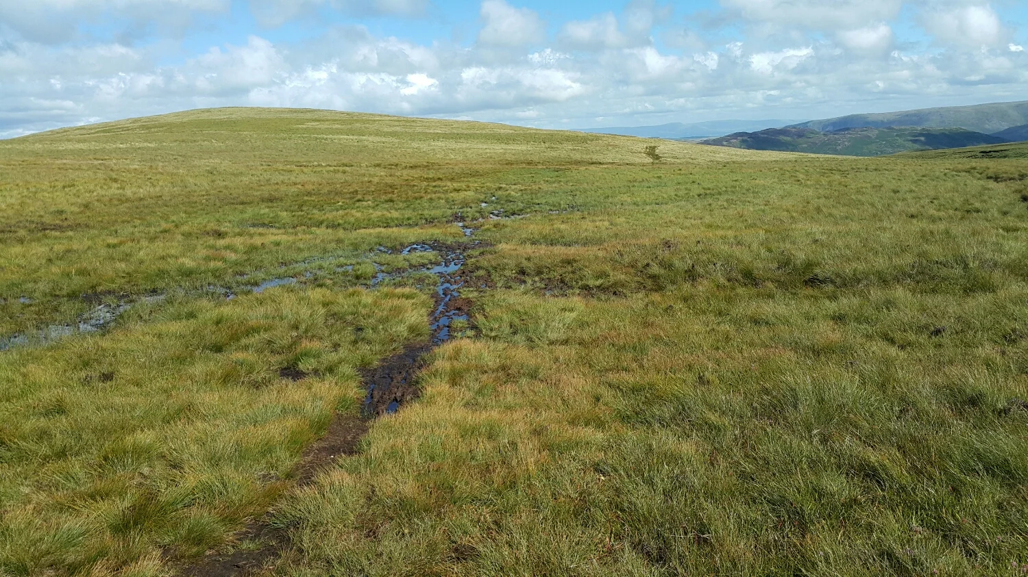 Very mossy ground that holds the water. A very slow slog.