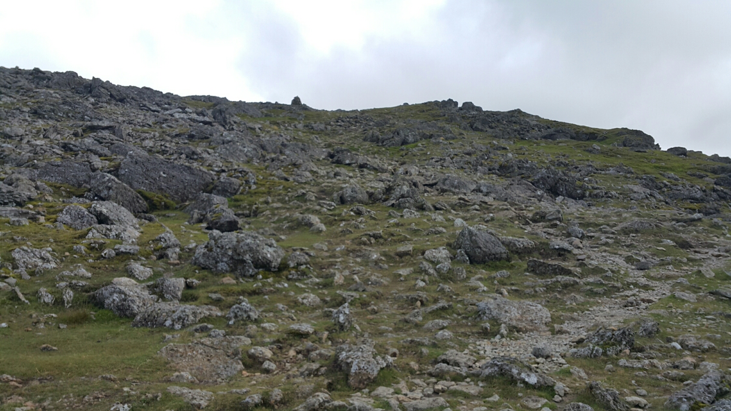 The last bit of climbing up through this rock garden. We had made our decision to summit this bit and return back down this way as the decent from here on a side trail was the most technical run down.