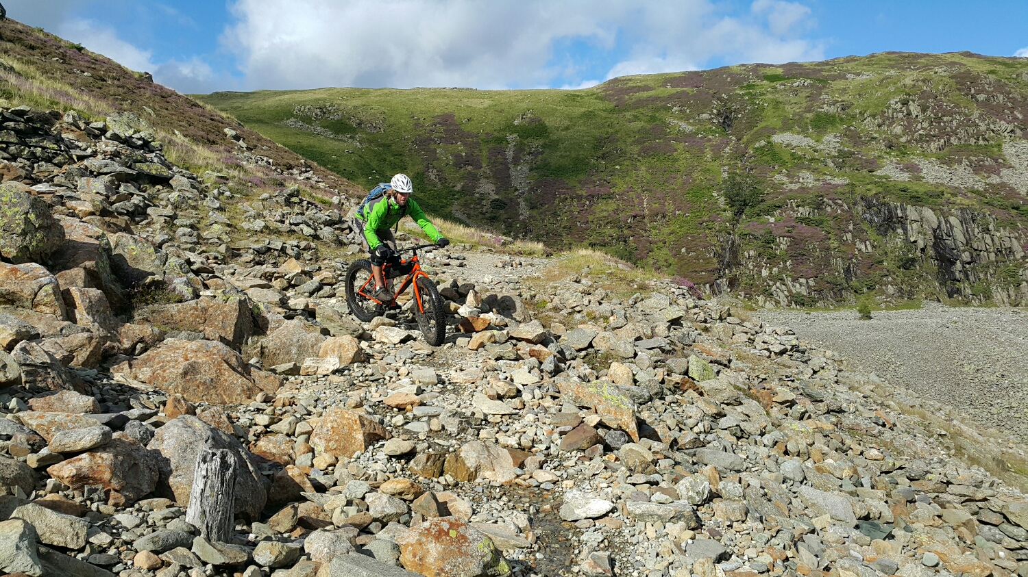 More rock Garden anyone?