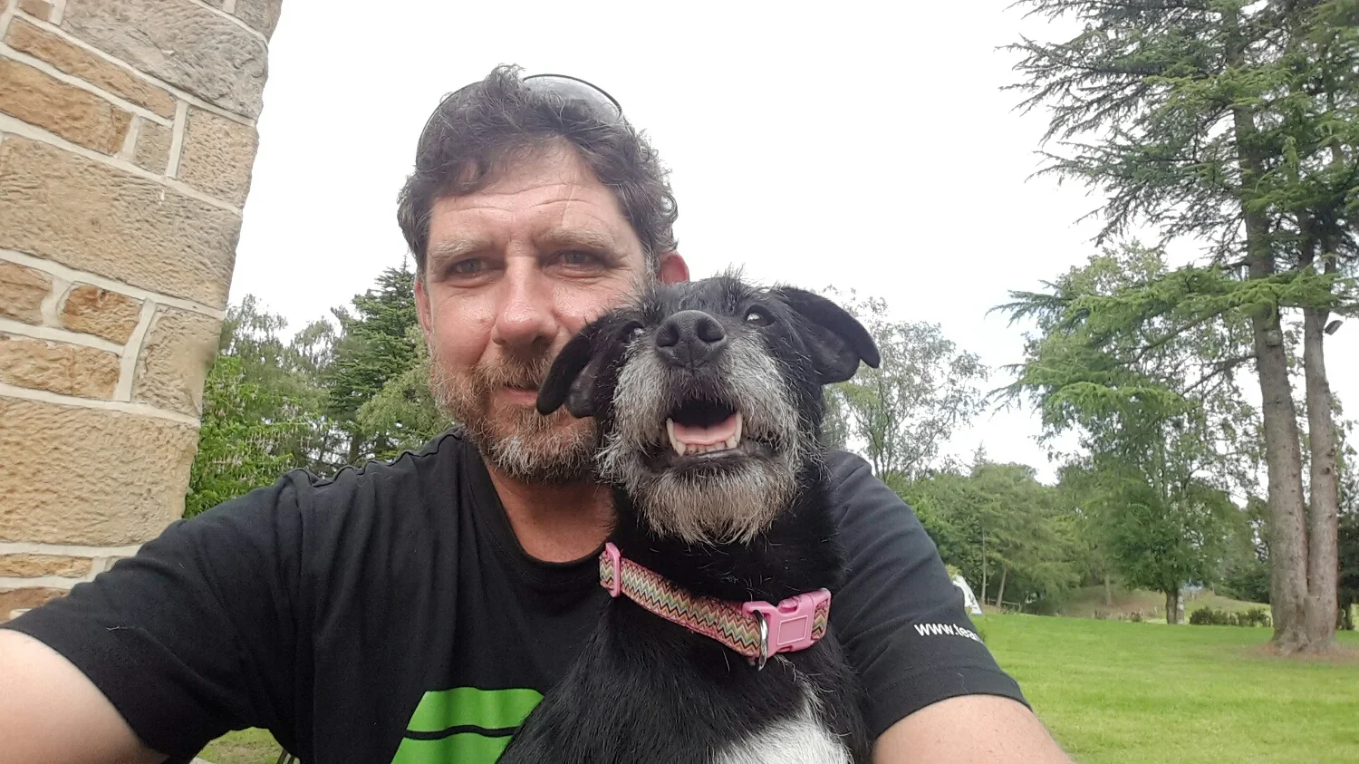 Poms love their dogs. This we Lady about 6 years was a stray. New owner took her in 2 months ago. Lovely dog.