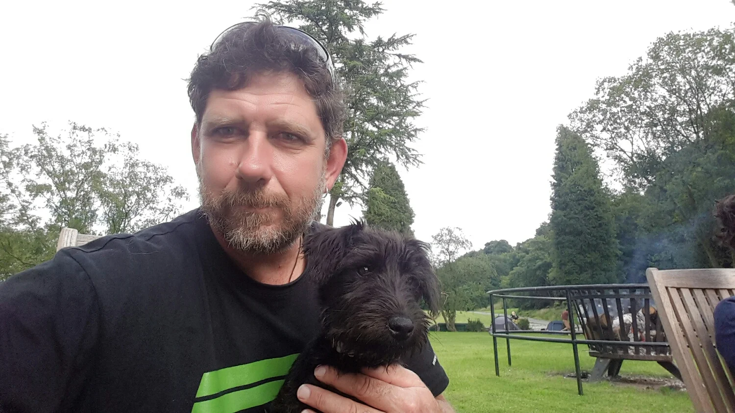 This is Dodds. Lakeland terrier pup